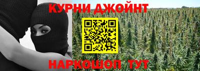 сатива Кимры