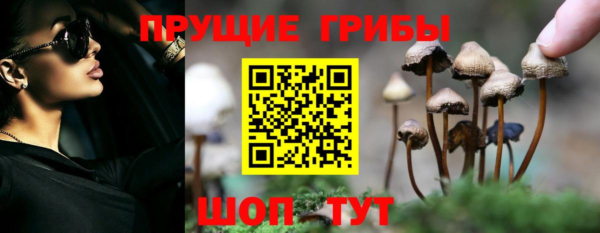 Псилоцибиновые грибы прущие грибы Лабинск