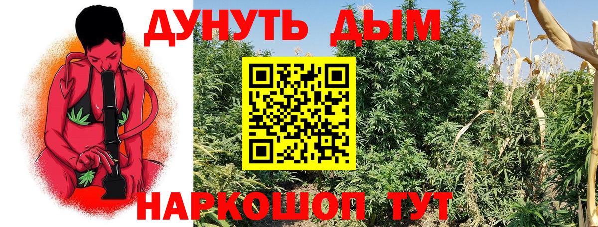 Канабис планчик  Конопля индика  Вход с VPN  Лабинск  Бошки марихуана Amnesia  Шишки марихуана ГИДРОПОН 